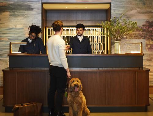 Person checking into hotel with dog at front desk