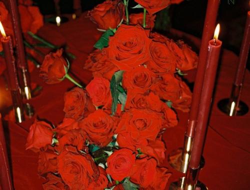 A bouquet of red roses