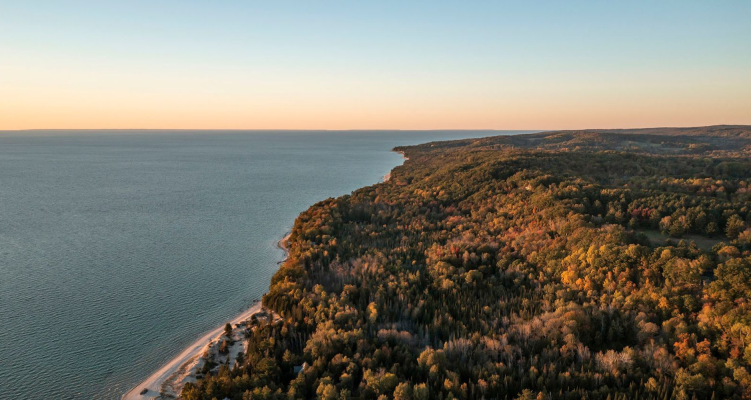 Fall leaves on the coastline