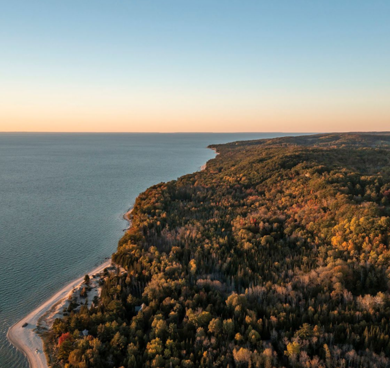 Fall leaves on the coastline
