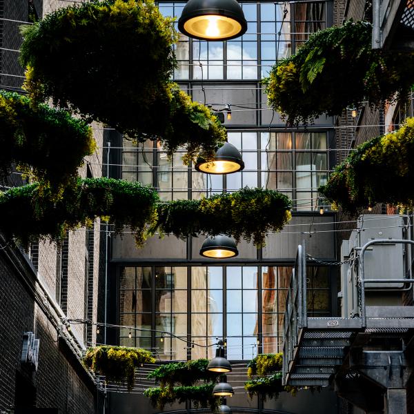 An alleyway with hanging plants and pendant light fixtures.