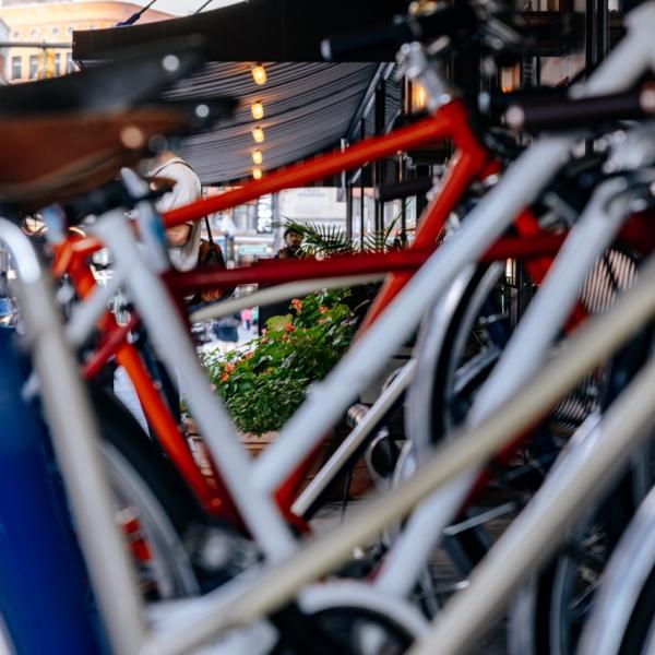Perspective shot looking through a row of parked bicycles toward a planter on a city street.